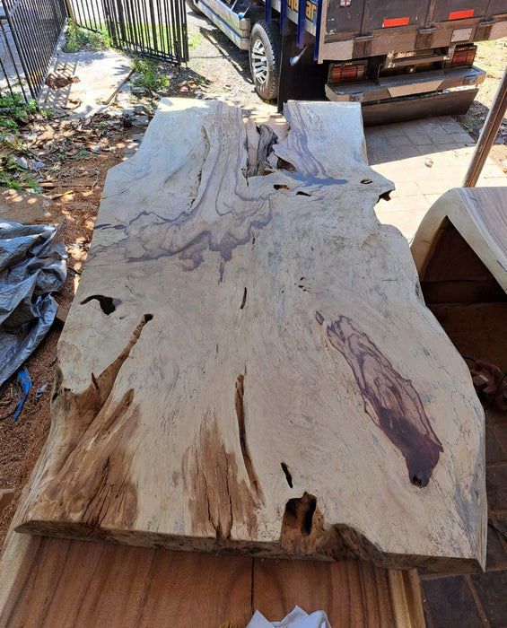 Tree Hunters of Java Salvaged River Tamarind Wood Slab 250 x 125cm