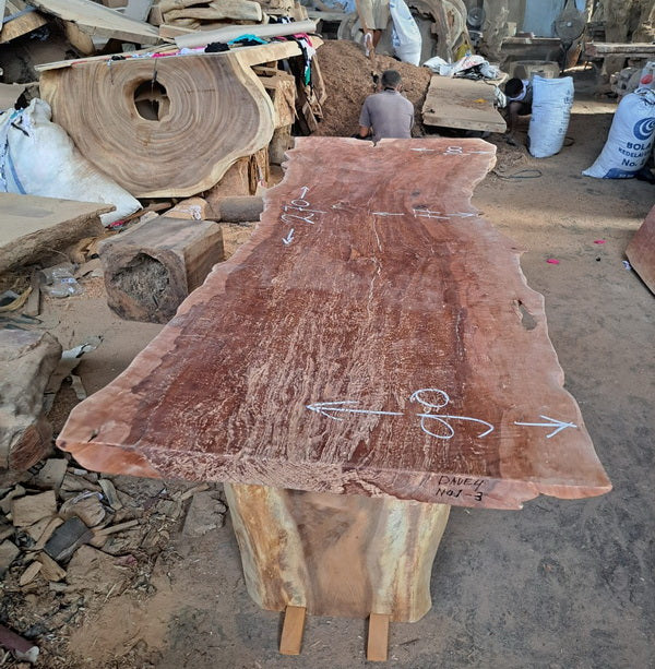 Tree Hunters of Java Longan
Wood Slab 270 x 100 x 7cm