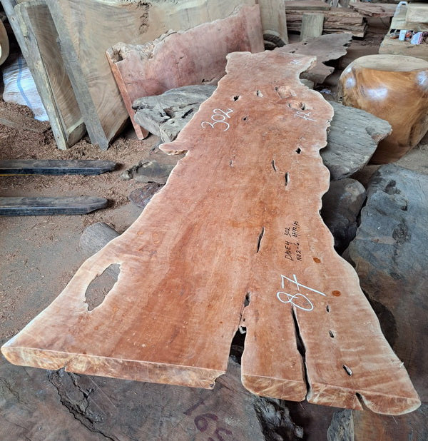 Tree Hunters of Java 
Longan Wood Slab 302 x 87 x 7cm