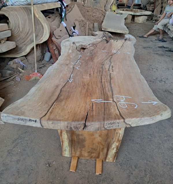 Tree Hunters of Java 
Mango Wood Slab 234 x 94 x 7cm