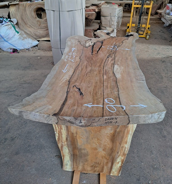 Tree Hunters of Java 
Mango Wood Slab 230 x 90 x 7cm